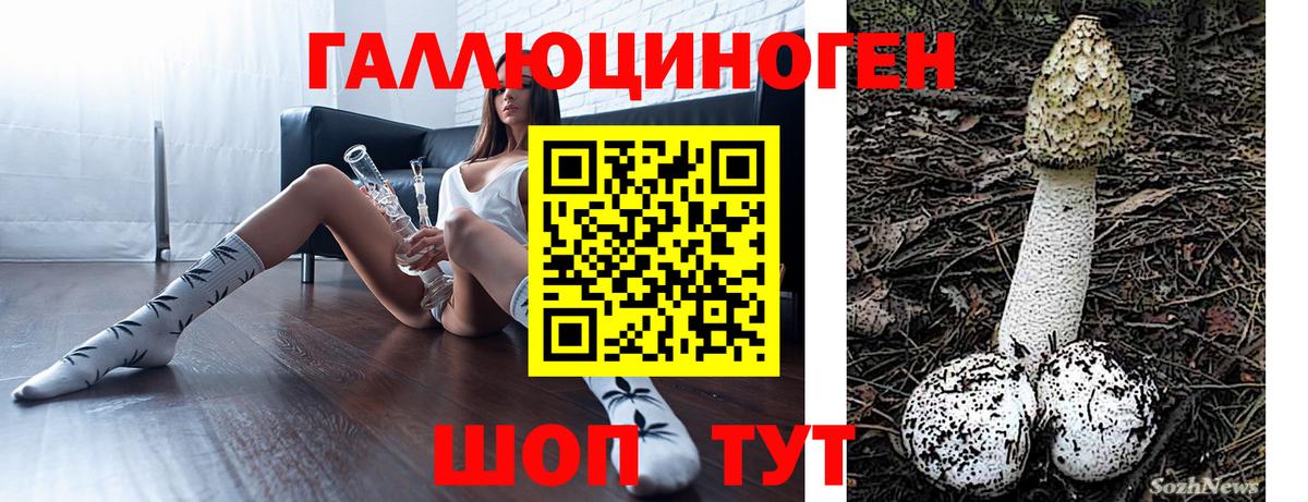 Избербаш  продажа наркотиков  Вход с VPN  Галлюциногенные грибы Psilocybe 
