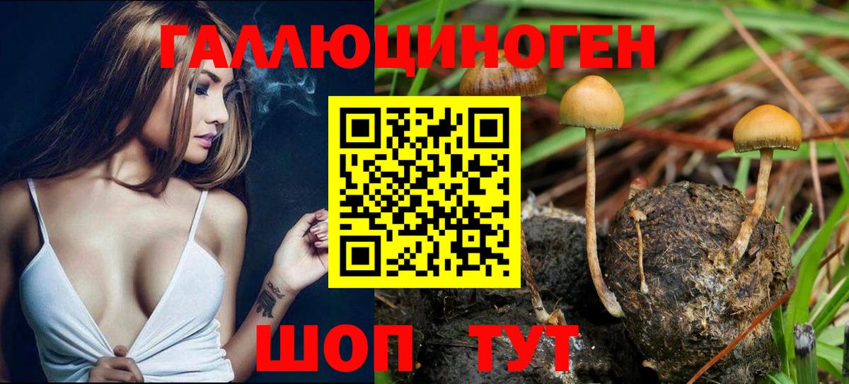 Галлюциногенные грибы Magic Shrooms Избербаш